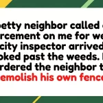 Code Enforcement Backfires: Petty Neighbor Forced to Demolish Own Fence